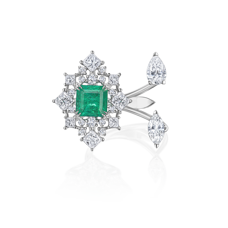 R43-FD-003-6 Кольцо (750)