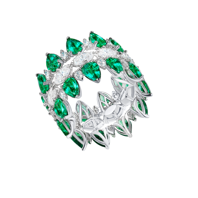 R06-FD-003-6 Кольцо (750)