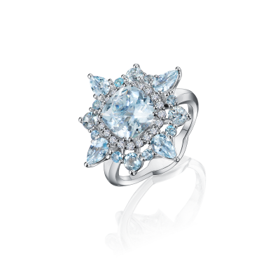 R17-FD-004-6 Кольцо (750)