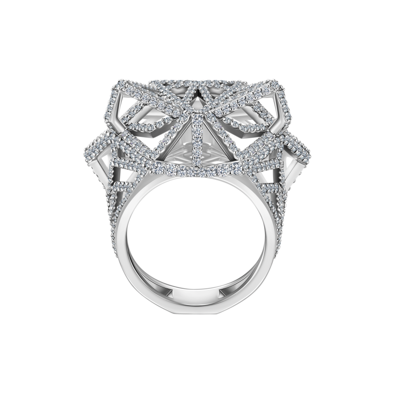 R05-S-148-6 Кольцо (750)