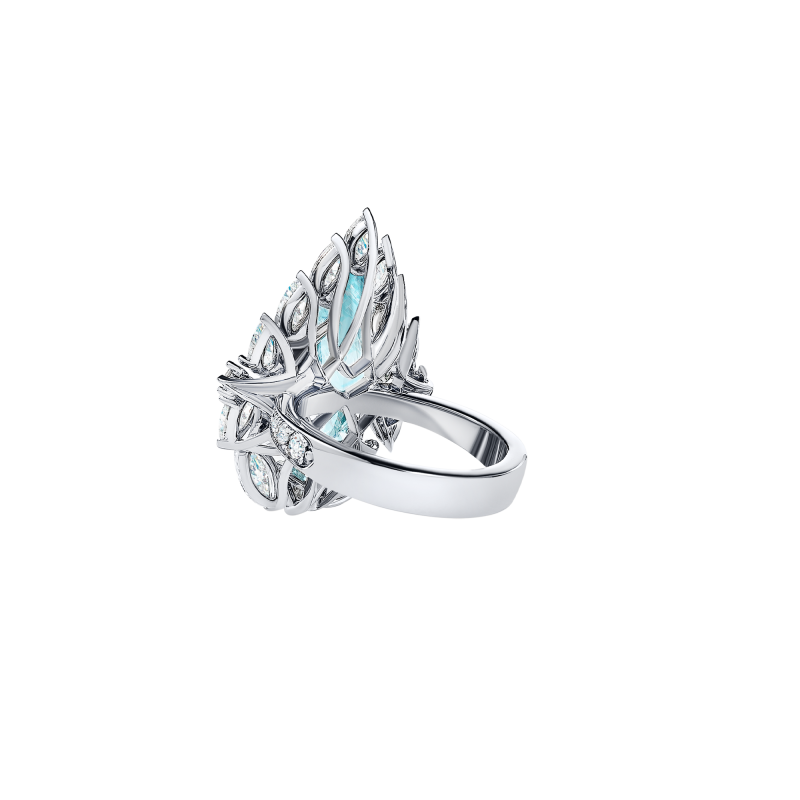 R01-FD-004-6 Кольцо (750)