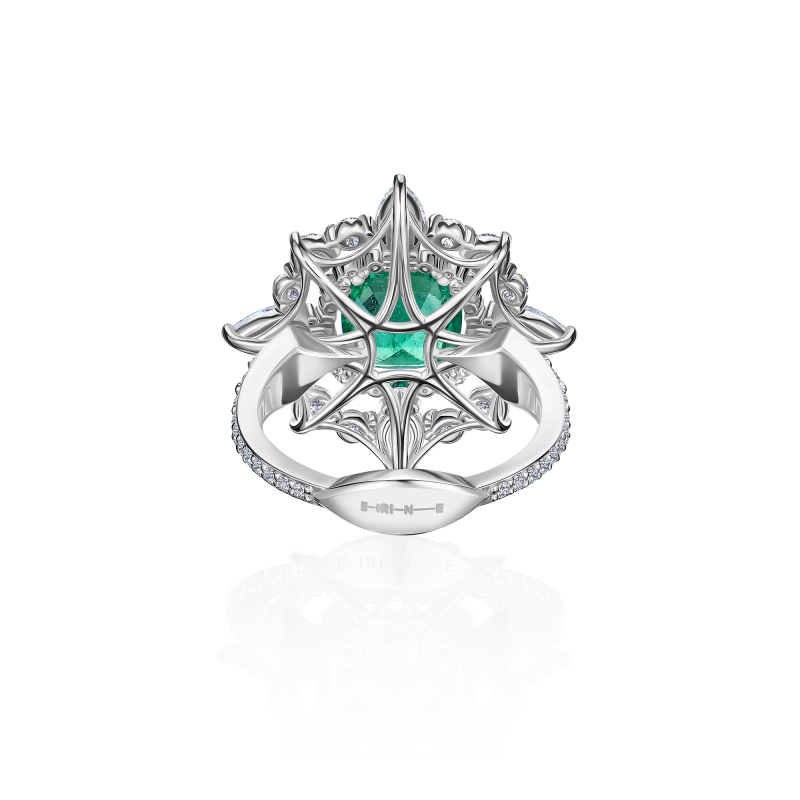 R04-C-003-6 Кольцо (750)